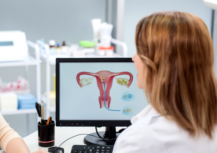 ультразвукове дослідження матки