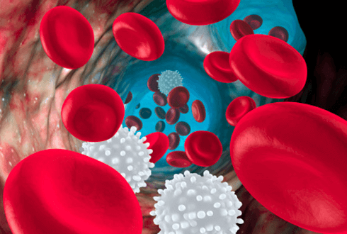 гематолог в Дніпрі